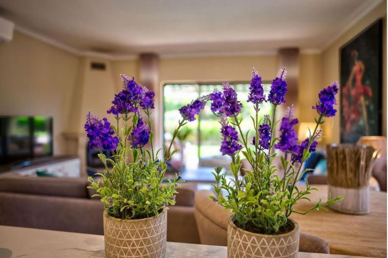 2Bedroom Bungalow Heated Shared Pool ,Near Carvoeiro And Ferrugudo Eksteriør bilde